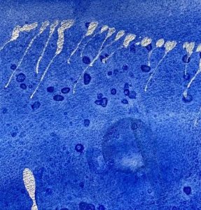 Floating Weightlessly The Winter Backyard Series 1