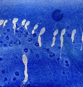 Floating Weightlessly The Winter Backyard Series 2