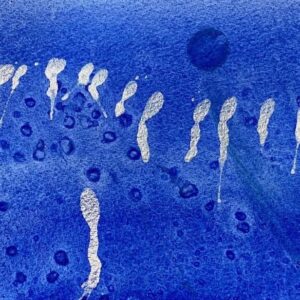 Floating Weightlessly The Winter Backyard Series 2