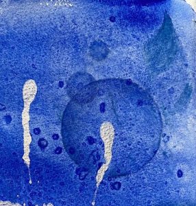 Floating Weightlessly The Winter Backyard Series 3