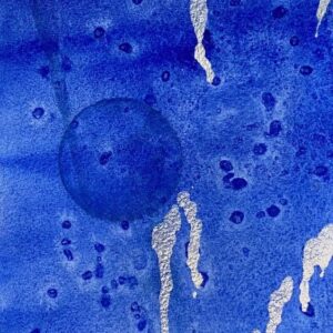 Floating Weightlessly The Winter Backyard Series 4