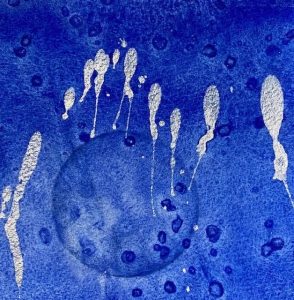 Floating Weightlessly The Winter Backyard Series 6