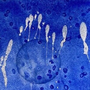 Floating Weightlessly The Winter Backyard Series 6