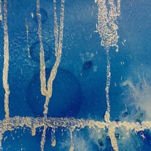 The Abyssal Zone (ABYSSOPELAGIC) 1