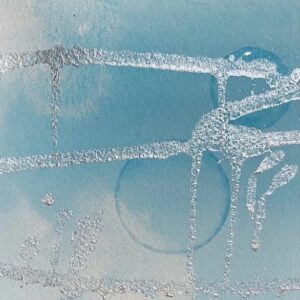 The Sunlight Zone (Epipelagic) 1