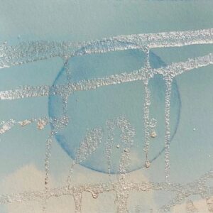 The Sunlight Zone (Epipelagic) 2