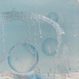 The Sunlight Zone (Epipelagic) 3