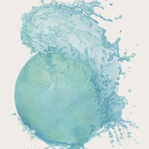 Big Fish Little Pond (SOLD)