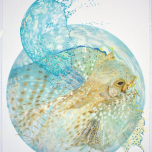 Your Busted Lion (SOLD)